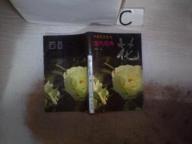 中国花卉艺术 室内花卉