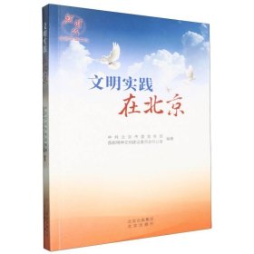 文明实践在北京 政治理论