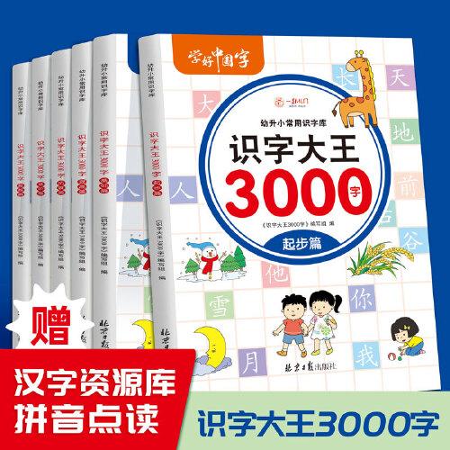 识字大王3000字（全6册）识字书幼儿认字有声伴读3-6岁幼小衔接一日一练象形识字启蒙