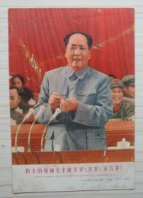 伟大领袖毛主席万岁！万岁！万万岁！我们的伟大领袖毛主席在中国共产党第九次全国代表大会上作极其重要的讲话。人民美术出版社 8027·5320（京2）0.02