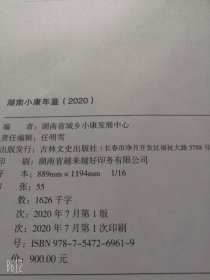 湖南小康年鉴2020