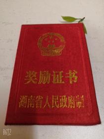老式票证收藏1994年奖励证书