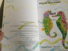 Mister Seahorse