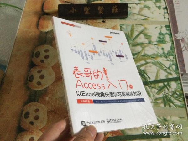 表哥的Access入门：以Excel视角快速学习数据库知识