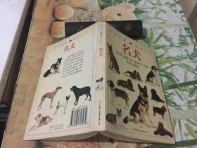 名犬：全世界300多种名犬的彩色图鉴