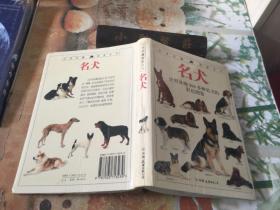 名犬：全世界300多种名犬的彩色图鉴