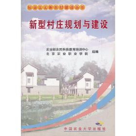 新型村庄规划与建设/社会主义新农村建设丛书
