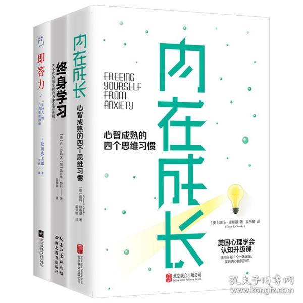 从优秀到卓越：一年顶十年3册套装