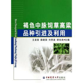 褐色中脉饲草高粱品种引进及利用