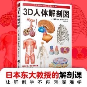 3D人体解剖图