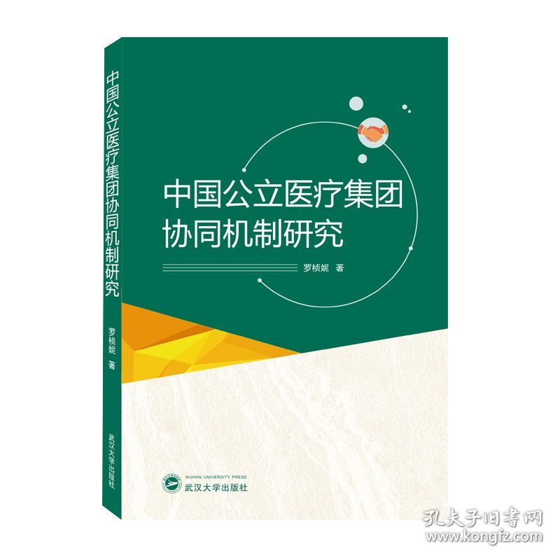 中国公立医疗集团协同机制研究
