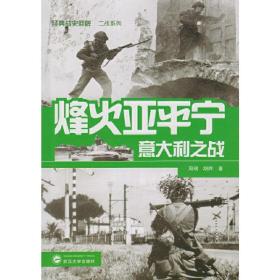 烽火亚平宁——意大利之战