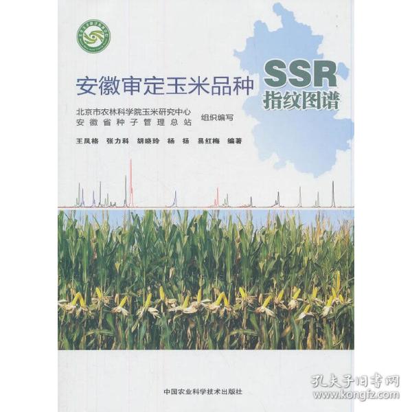 安徽审定玉米品种SSR指纹图谱