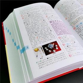 古代汉语词典（新修订版·彩色本）