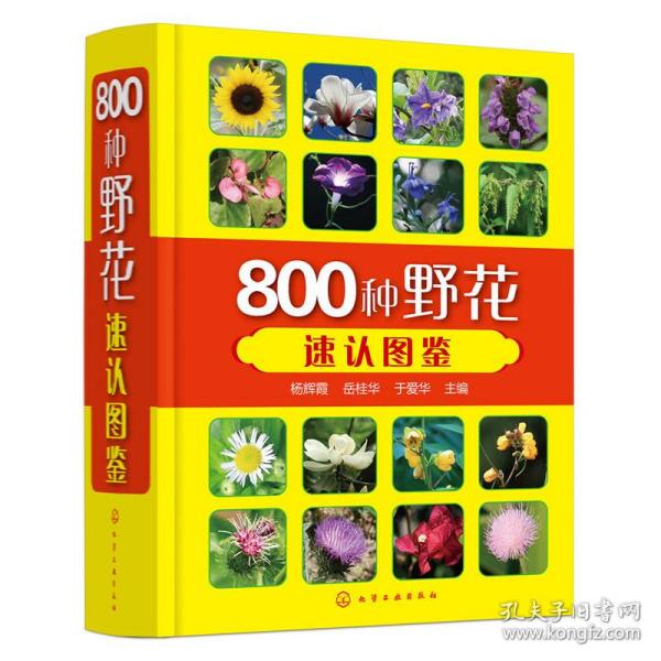 800种野花速认图鉴