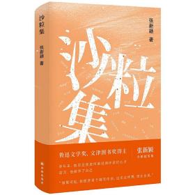 沙粒集（张新颖全新随笔集）