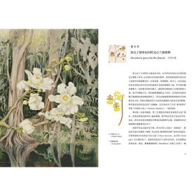 森林之花玛格丽特·米的植物学笔记