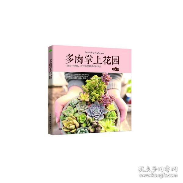 多肉掌上花园