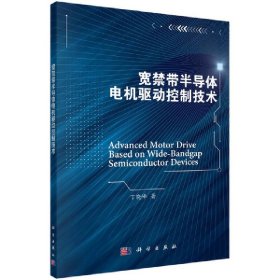 宽禁带半导体电机驱动控制技术