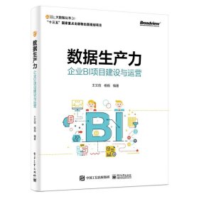 數(shù)據(jù)生產(chǎn)力：企業(yè)BI項(xiàng)目建設(shè)與運(yùn)營