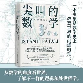 尖叫的数学-令人惊叹的数学之美（国际知名数学史专家，国际杂志《数学史》前主编翁贝托·博塔兹尼带你从数学的角度看世界）