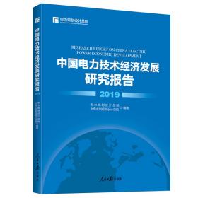 中国电力技术经济发展研究报告.2019