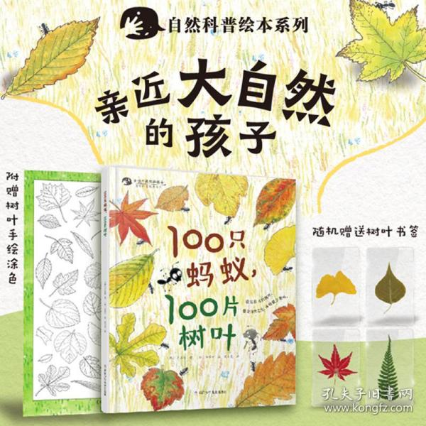 100只蚂蚁，100片树叶/亲近自然的孩子系列绘本