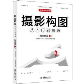 摄影构图从入门到精通（视频教程版）