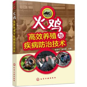 火鸡高效养殖与疾病防治技术