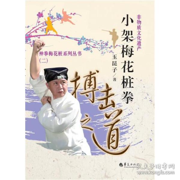 小架梅花桩拳 搏击之道之道 