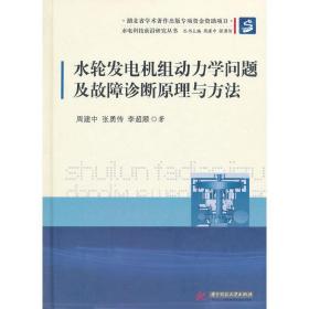 水电科技前沿研究丛书：水轮发电机组动力学问题及故障诊断原理与方法