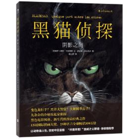 黑猫侦探：阴影之间