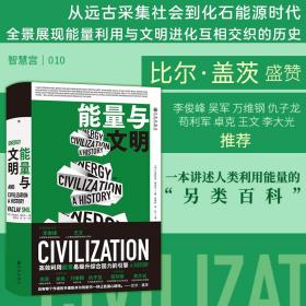 智慧宫丛书010·能量与文明：高效利用能量是提升综合国力的引擎