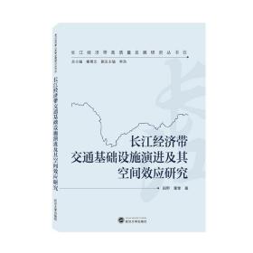 长江经济带城市群协同创新研究