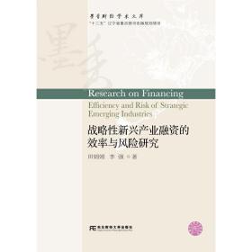 战略性新兴产业融资的效率与风险研究