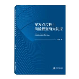 多发点过程上风险模型研究初探