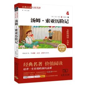 经典名著 大家名译：汤姆·索亚历险记（无障碍阅读 全译本 素质版）