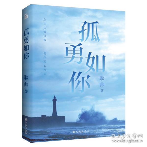 孤勇如你耿帅全新力作（书内附赠限量珍藏人生锦囊卡-四款随机赠送×精美书签）