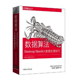 数据算法：Hadoop/Spark大数据处理技巧