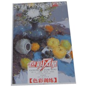 色彩風(fēng)暴-色彩靜物-色彩訓(xùn)練