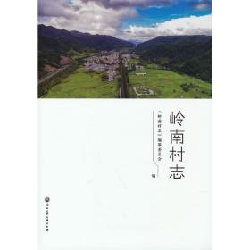 岭南村志