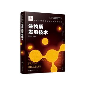 现代生物质能高效利用技术丛书--生物质发电技术