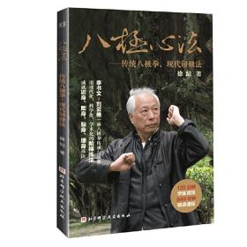 八极心法——传统八极拳，现代研修法