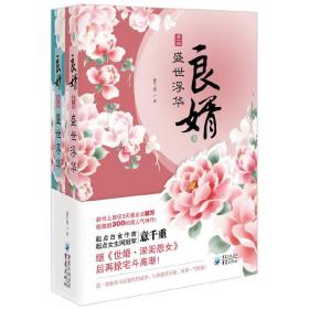 良婿1·盛世浮华（上下）