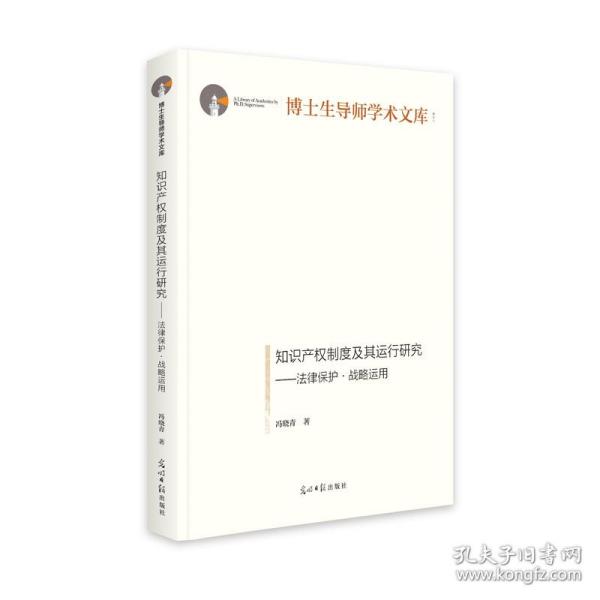 知识产权制度及其运行研究：法律保护·战略运用