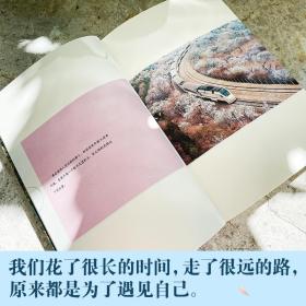 人生终要有一场触及灵魂的旅行（知名心理咨询师毕淑敏畅销作品）