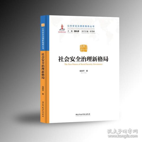 社会安全治理新格局/公共安全治理新格局丛书