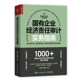 国有企业经济责任审计实务指南