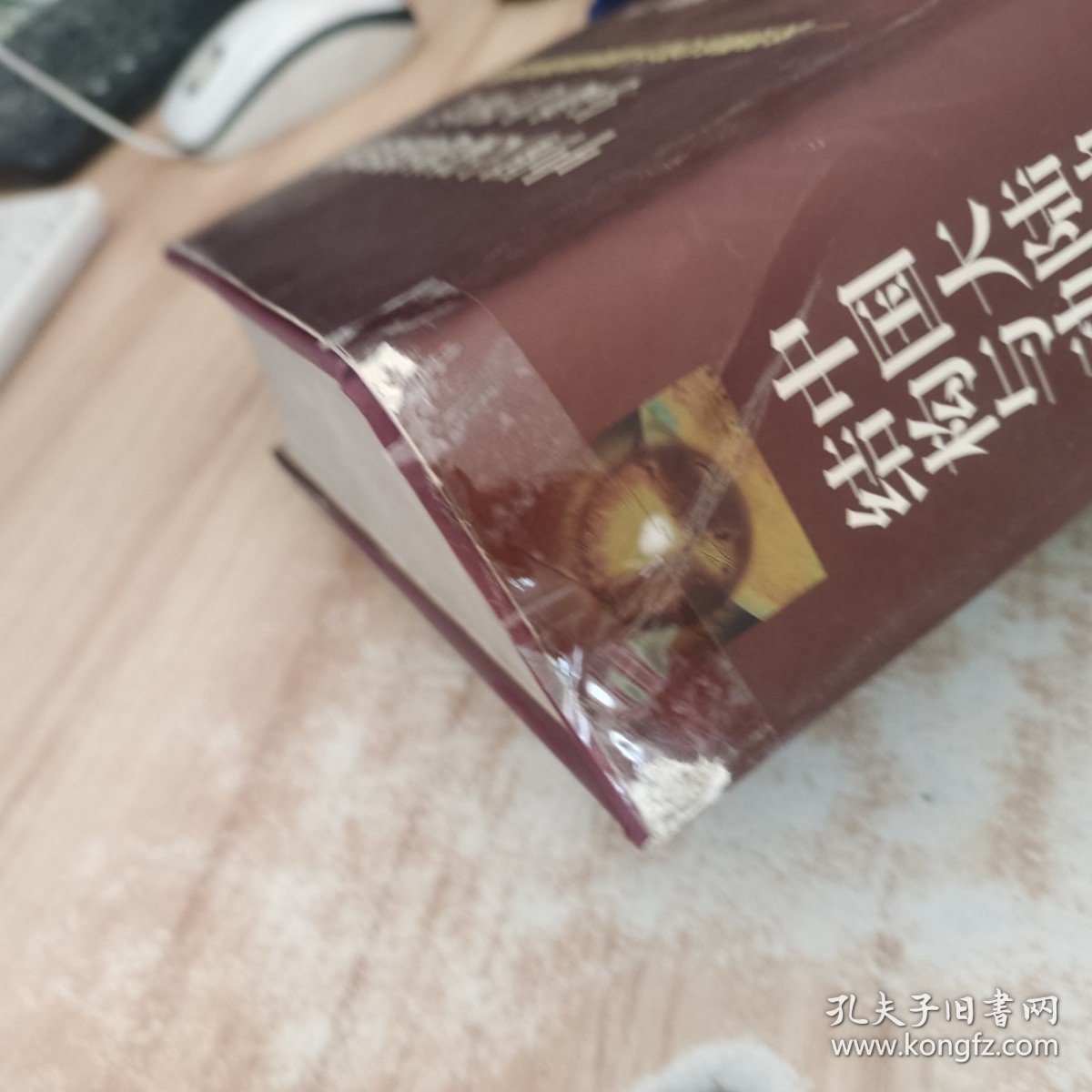 中国大陆地球深部结构与动力学研究：庆贺腾吉文院士从事地球物理研究50周年 /张中杰 科学出版社
