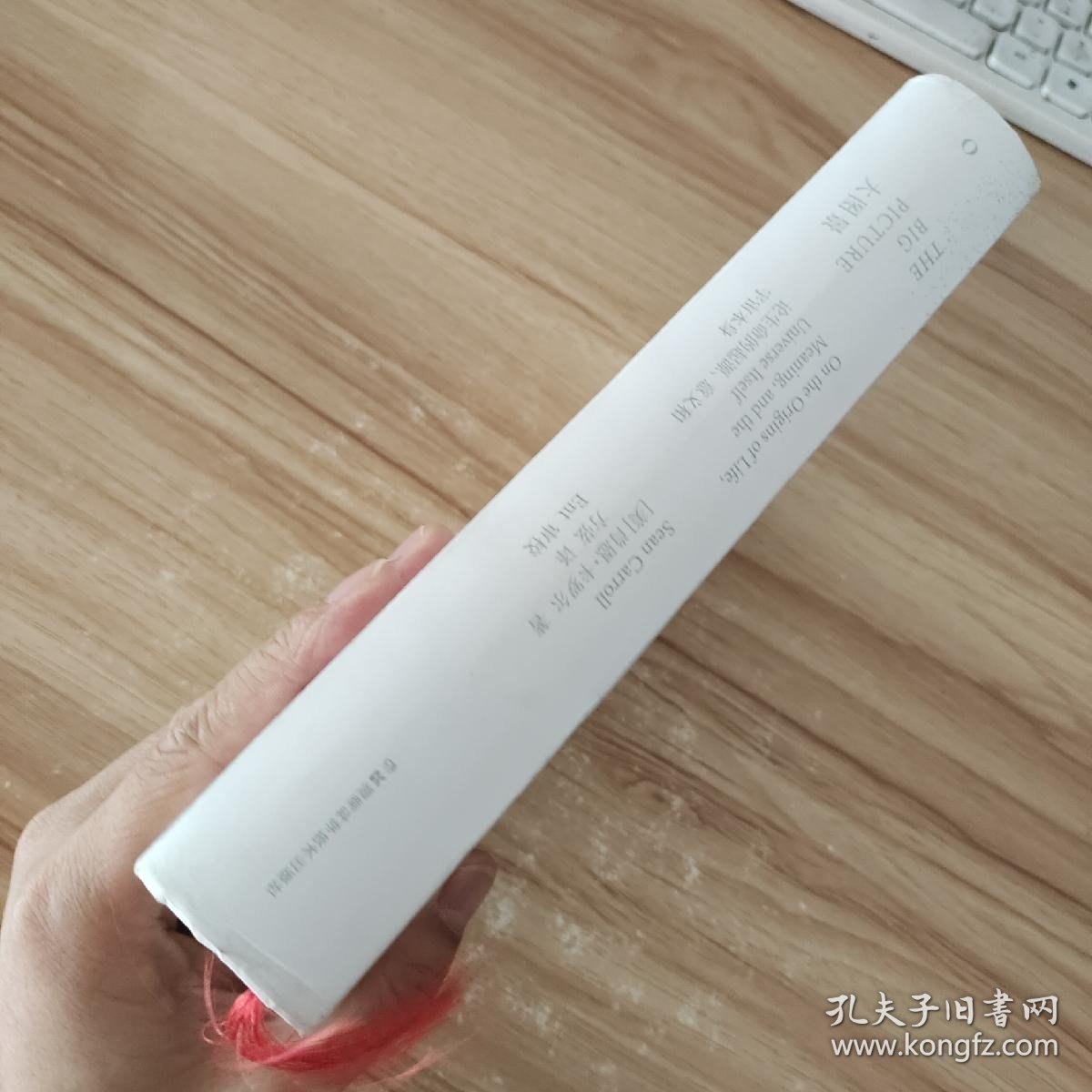 大图景论生命的起源、意义和宇宙本身 /肖恩·卡罗尔 湖南科学技术出版社